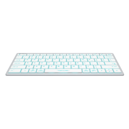 Клавиатура A4Tech Bloody B810R NetBee (Серая)