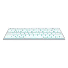 Клавиатура A4Tech Bloody B810R NetBee (Серая)